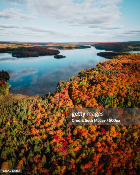 scenic view of lake against sky during autumn,ontario,canada - ontario canada stock-fotos und bilder