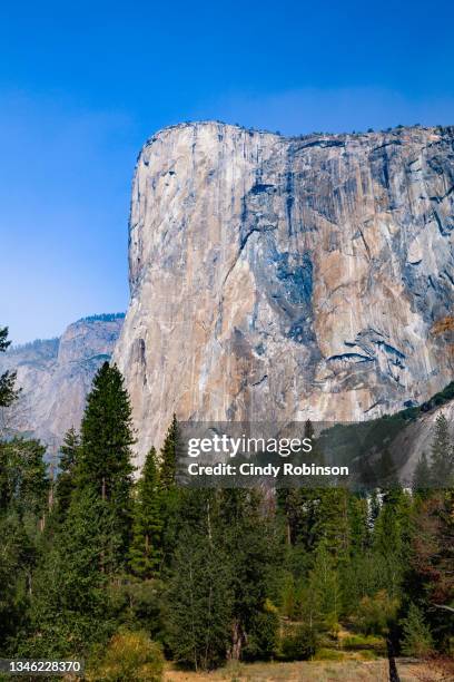 el capitan - el capitan yosemite national park stockfoto's en -beelden