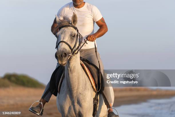 nahaufnahme mann reiten pferd am strand. - grautier pferdeartige stock-fotos und bilder