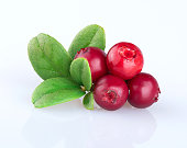Young fresh beautiful lingonberry with leaves, isolated on a white background with reflection