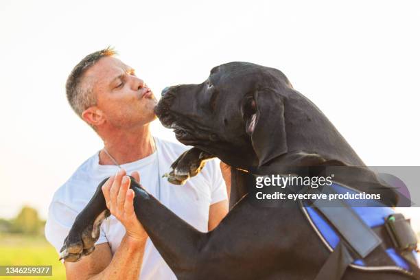 healthy fit body-builder couple walking and playing with black great dane dog in rural western usa at golden hour photo series - great dane home stock pictures, royalty-free photos & images
