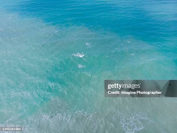 Shallow View Shallow Sea Water Top View Photos and Premium High Res Pictures - Getty ...