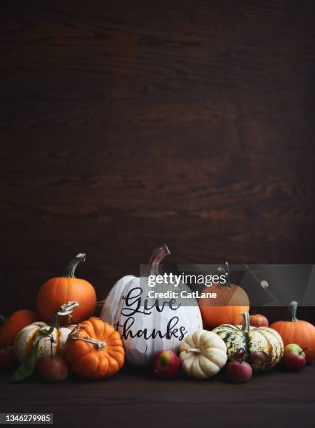 thanksgiving background arrangement with a variety of miniature pumpkins and crabapples - gourd bildbanksfoton och bilder