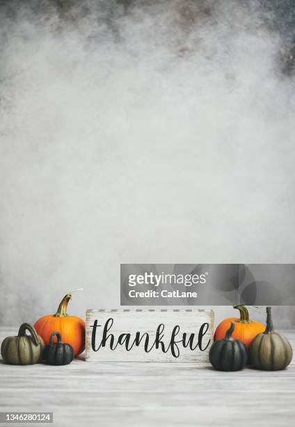 thankful message for thanksgiving with small pumpkins in gray setting - thanksgiving arrangement stock pictures, royalty-free photos & images