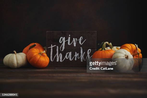 fall arrangement with pumpkins and give thanks sign for thanksgiving - thanksgiving cat stock pictures, royalty-free photos & images