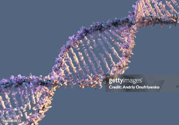 dna made out of plastic - genetic mutation photos et images de collection