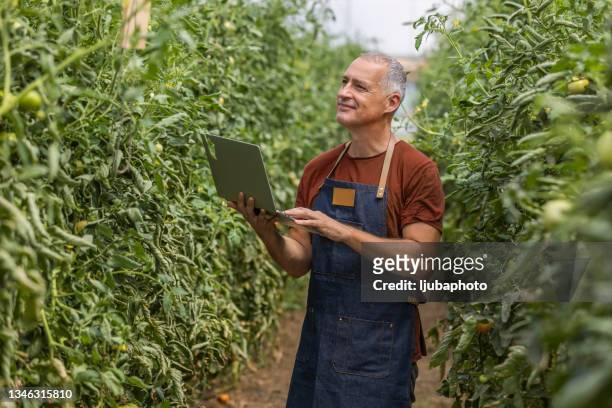there's always some research to be done in this field - green economy stock pictures, royalty-free photos & images