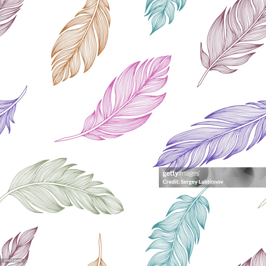 Vector Feather Pattern Hand Drawn Color Illustration Vector 10 Eps High ...