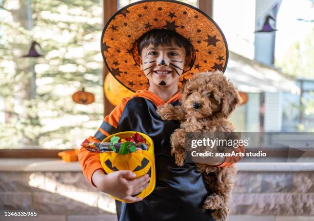 trick or treat - halloween dog stock pictures, royalty-free photos & images