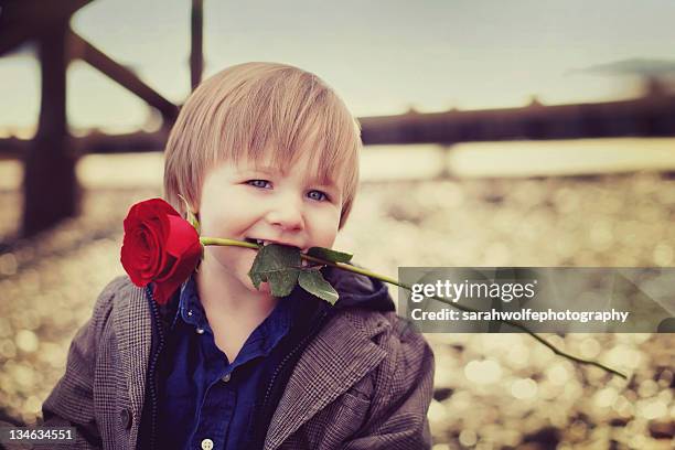 boy with rose in his mouth - allyn rose stock-fotos und bilder