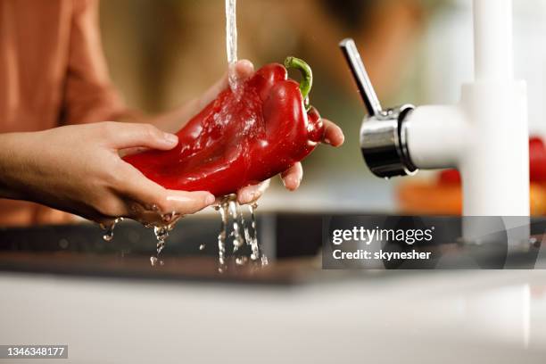 ¡lavado de pimiento rojo! - red bell pepper fotografías e imágenes de stock