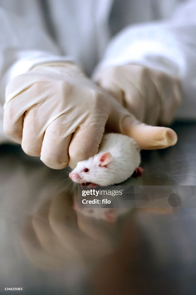 La investigación científica