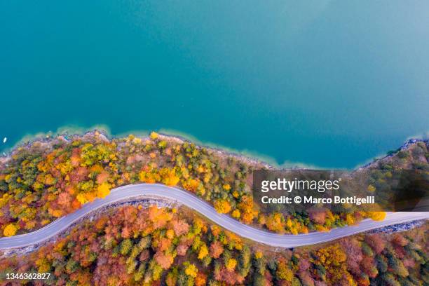 idyllic road by the lake in autumn - sylvenstein lake bildbanksfoton och bilder