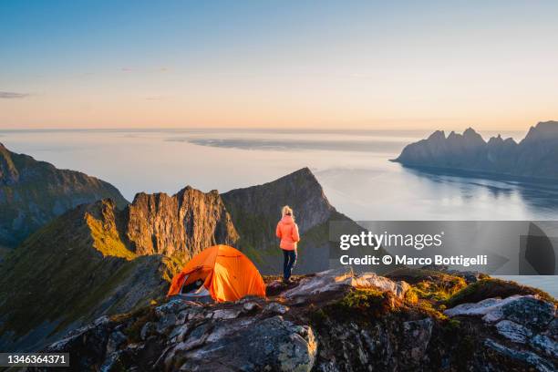 woman next by a tent on mountain top contemplating the panorama - camping selvagem imagens e fotografias de stock