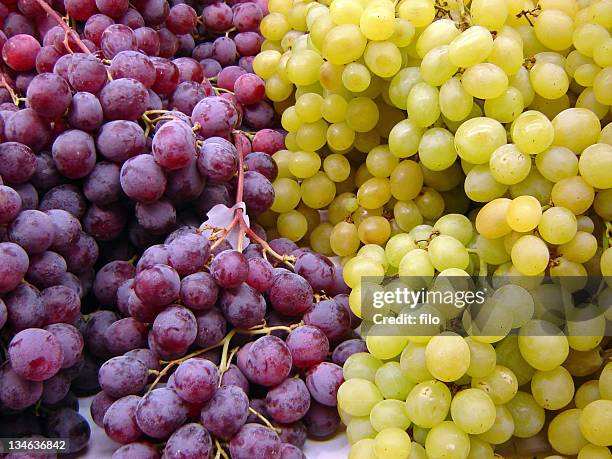 green and red grapes - white grape stock pictures, royalty-free photos & images