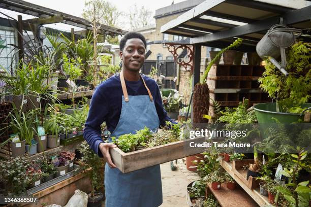 young man working in garden centre. - gärtnerei stock-fotos und bilder