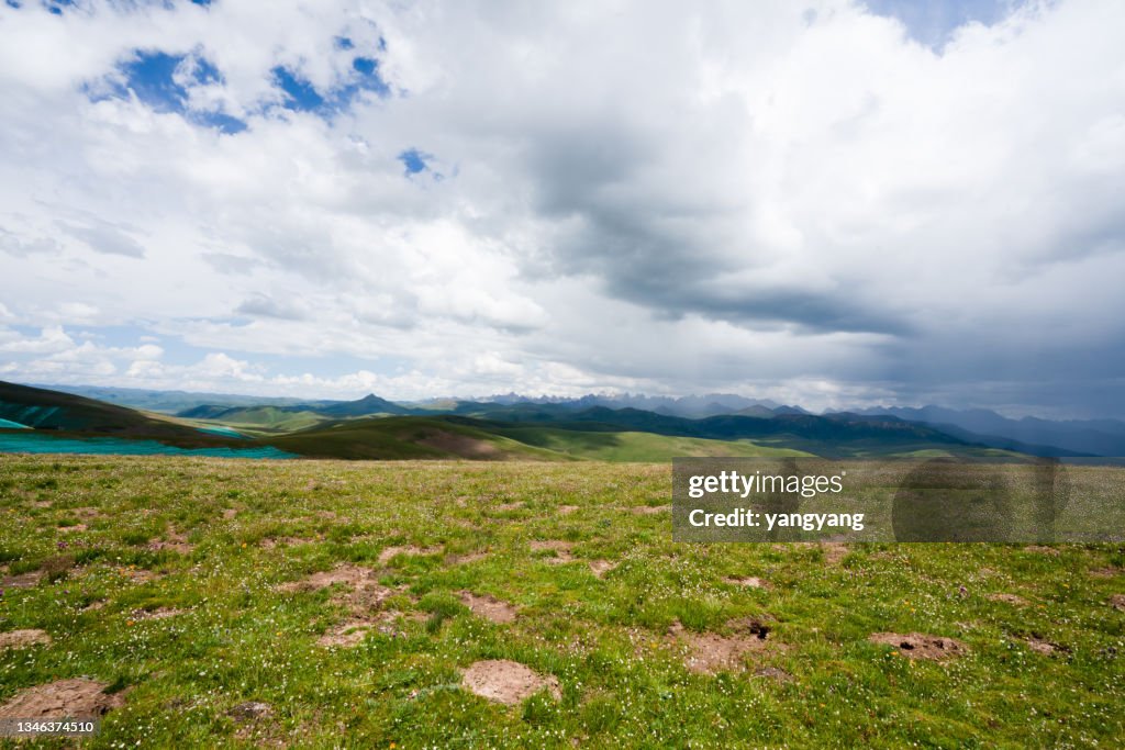 Scenery of grassland in qinghai