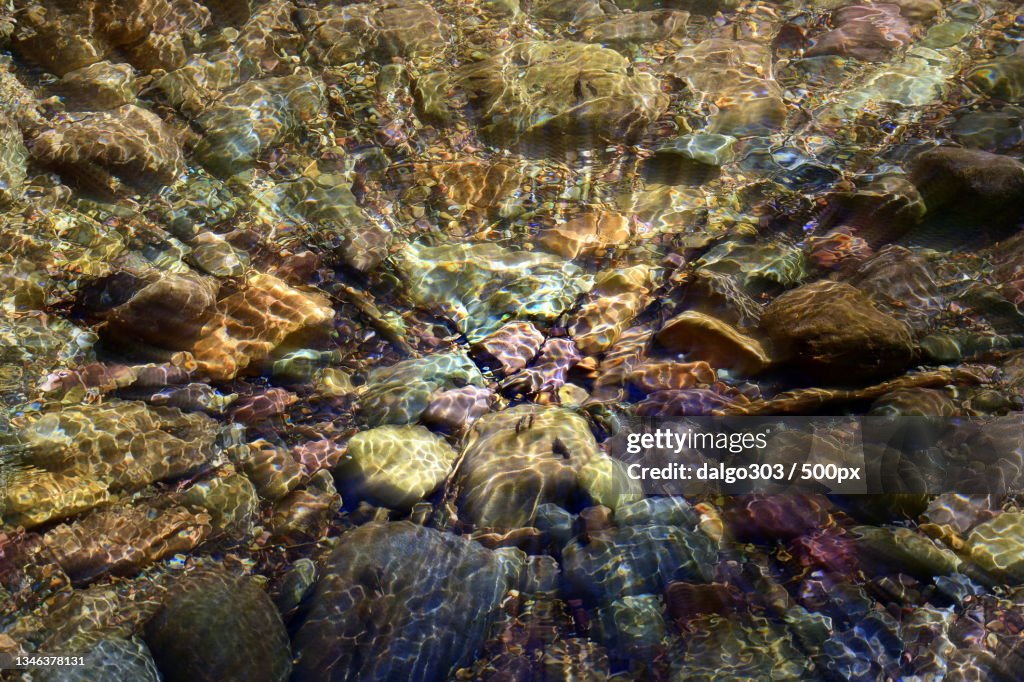 Full frame shot of coral in sea
