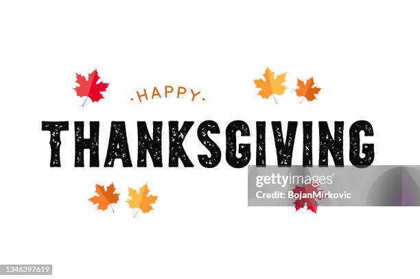 ilustraciones, imágenes clip art, dibujos animados e iconos de stock de feliz tarjeta de acción de gracias, póster, fondo. vector - happy thanksgiving text