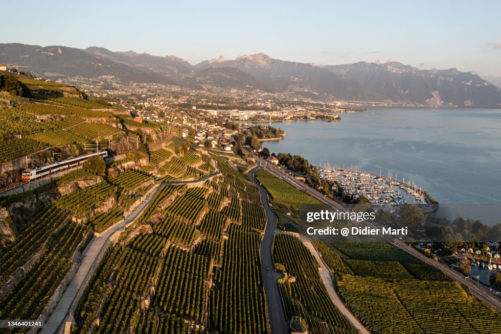 The famous Lavaux vineyard by lake Geneva near Vevey in Switzerland