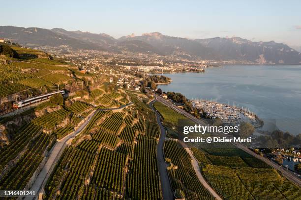 the famous lavaux vineyard by lake geneva near vevey in switzerland - montreux stock pictures, royalty-free photos & images