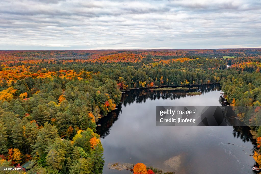 Recognized Heritage Tree, Indian Landing Park and Mary LakeMary Lake, Port Sydney, Canada