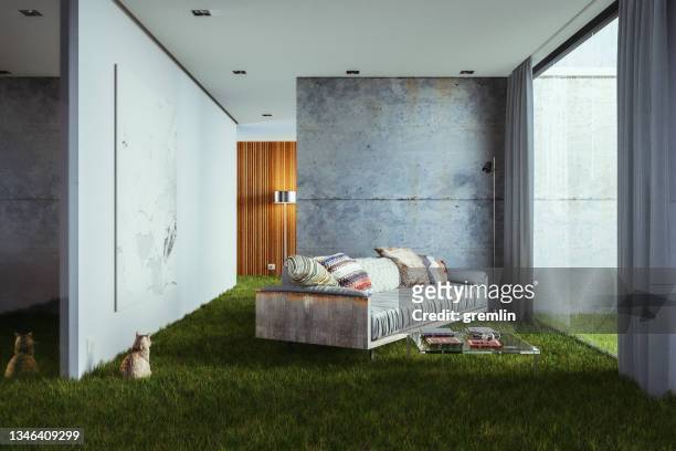 sala de estar abstracta de hormigón con gato doméstico - out of context fotografías e imágenes de stock