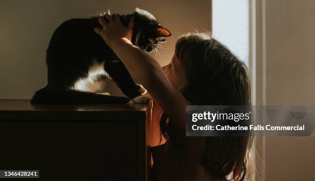 serene image of a little girl and a young cat with their faces close together, looking into each-others eyes - cat owner stock pictures, royalty-free photos & images