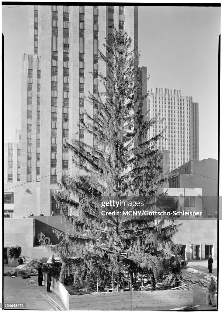 Rockefeller Center Inc., 20 Rockefeller Plaza. Christmas tree in Plaza from steps.