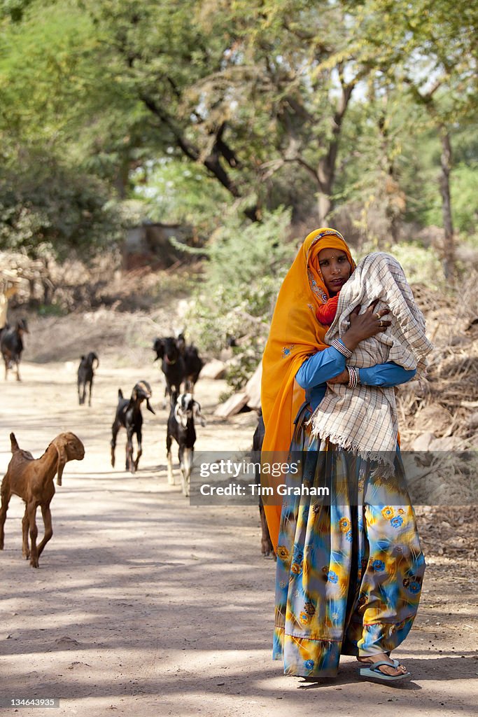 Woman and Goats near Ranthambore, Rajasthan