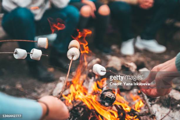closeup of friends roasting marshmallows over the bonfire - campfire bildbanksfoton och bilder