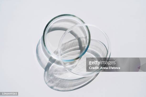 empty petri dish with a cover on gray background. concept of laboratory researches. photography in flat lay style - agargel stock-fotos und bilder