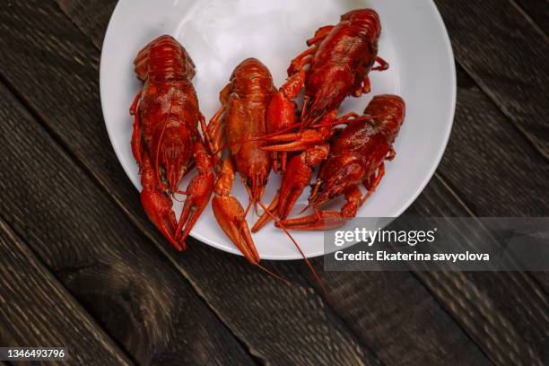 boiled river cancer on a plate. - lobster photos et images de collection