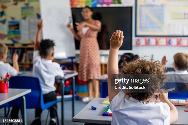 confident about the answer - schoollokaal stockfoto's en -beelden