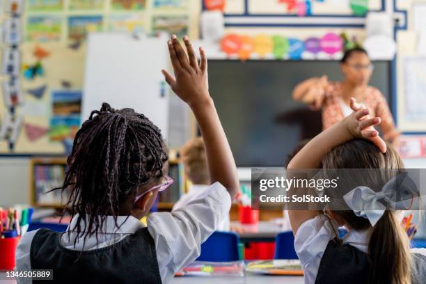 ich kenne die antwort! - schüler von hinten im klassenzimmer stock-fotos und bilder