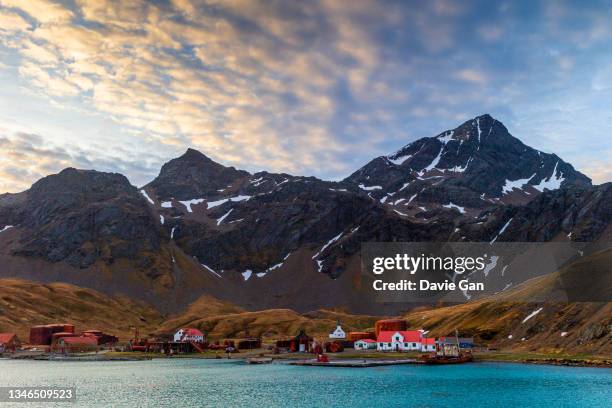 grytviken - south georgia island stock pictures, royalty-free photos & images