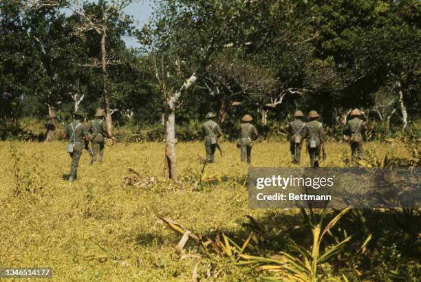 Indian soldiers patrol a wooded area during the Bangladesh Liberation War on the Indian-Pakistani border in northeastern India, 22nd November 1971....