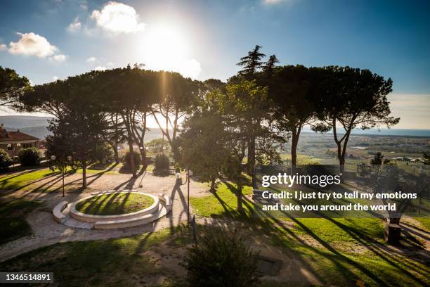 castagneto carducci, leghorn, italy - tuscany, etruscan coast - boulevard foto e immagini stock