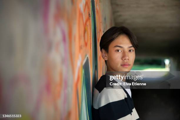 portrait of a teenage boy leaning against a graffiti filled wall on a city underpass. - tag 14 photos et images de collection