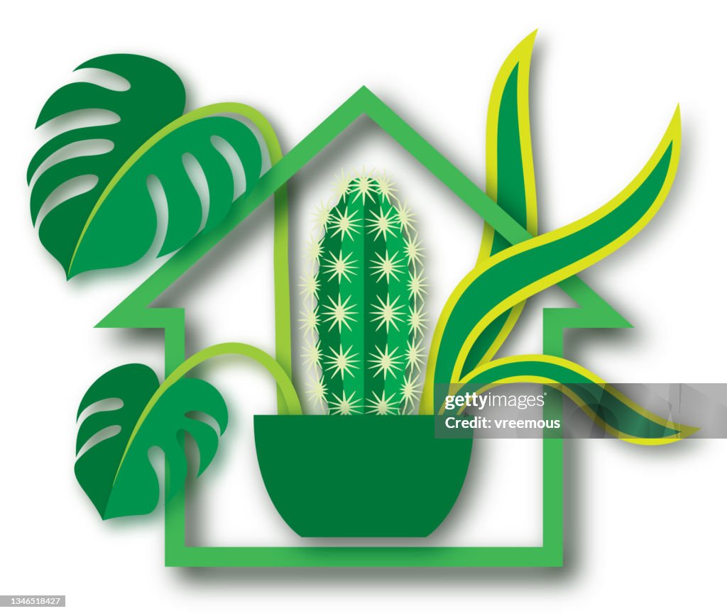 Indoor Houseplant Icon