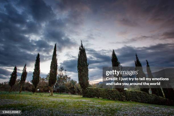 casale marittimo, pisa, tuscany - italy - ancient plow stock pictures, royalty-free photos & images