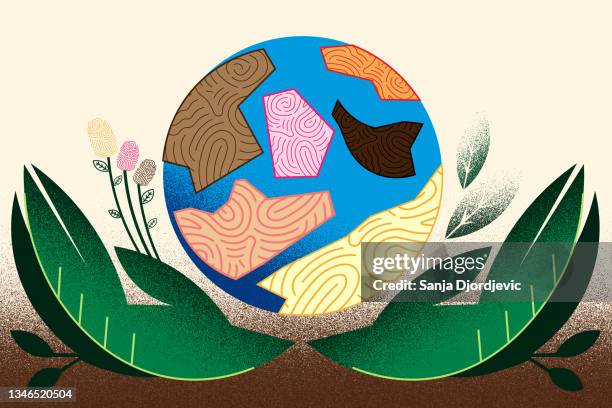 ilustrações de stock, clip art, desenhos animados e ícones de equality on earth - igualdade