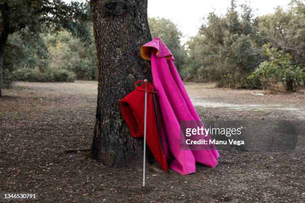 traditional vivid red and pink cloaks and sword of toreador placed near tree in nature - bullfighter photos et images de collection