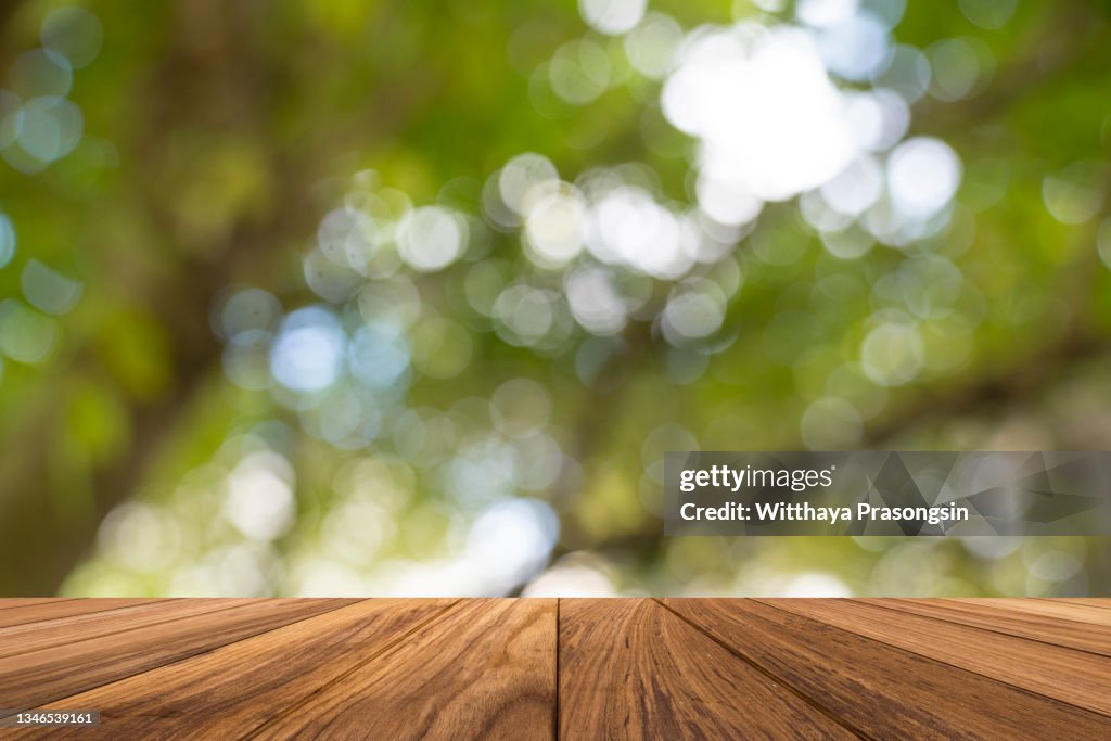 Backgrounds: Empty wooden table with defocused green lush foliage at background