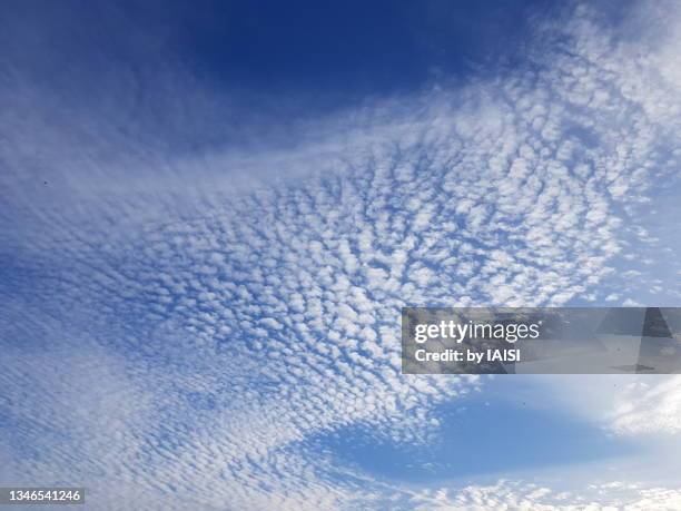 background of big cirrocumulus cloud in the blue sky - 巻積雲 ストックフォトと画像