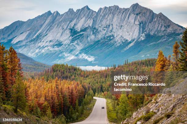 road to the canadian rockyes, cloudy and blue sky, icefields parkway, canada - montañas rocosas canadienses fotografías e imágenes de stock