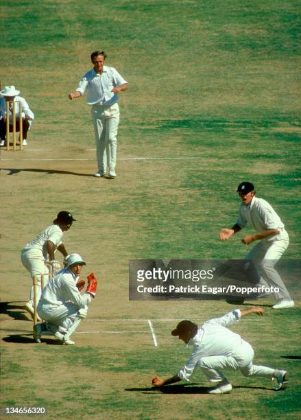 3,287 Funny Cricket Photos and Premium High Res Pictures - Getty Images