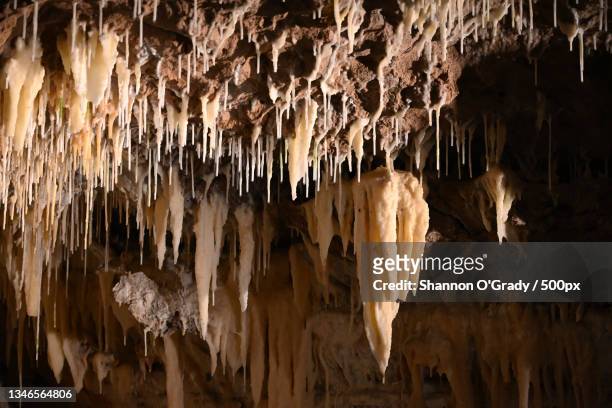 low angle view of cave,margaret river,western australia,australia - tropfsteinhöhle stalaktiten stock-fotos und bilder