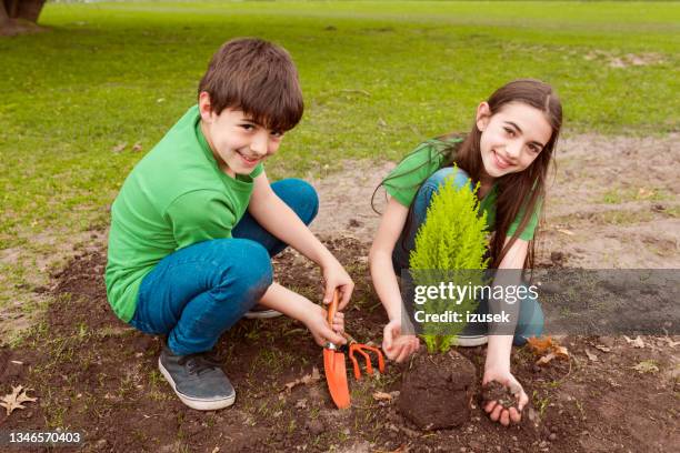 smiling brother and sister planting in park - arbor day stock pictures, royalty-free photos & images