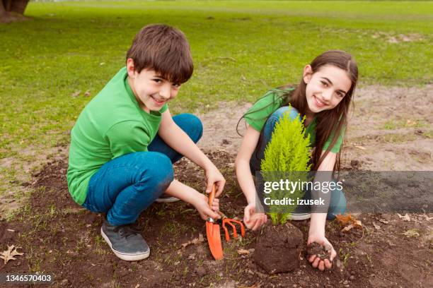 smiling brother and sister planting in park - brown hair stock pictures, royalty-free photos & images